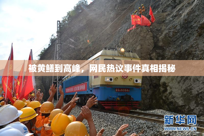 被黄鳝到高峰，网民热议事件真相揭秘