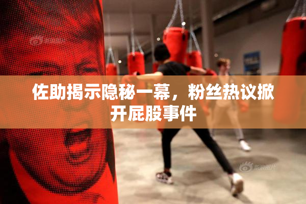 佐助揭示隐秘一幕，粉丝热议掀开屁股事件