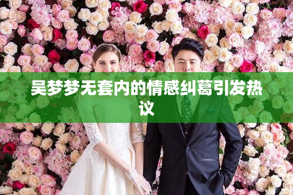 吴梦梦无套内的情感纠葛引发热议