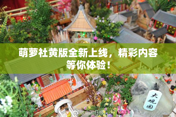 萌萝社黄版全新上线，精彩内容等你体验！