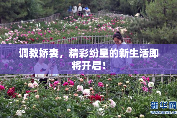 调教娇妻，精彩纷呈的新生活即将开启！