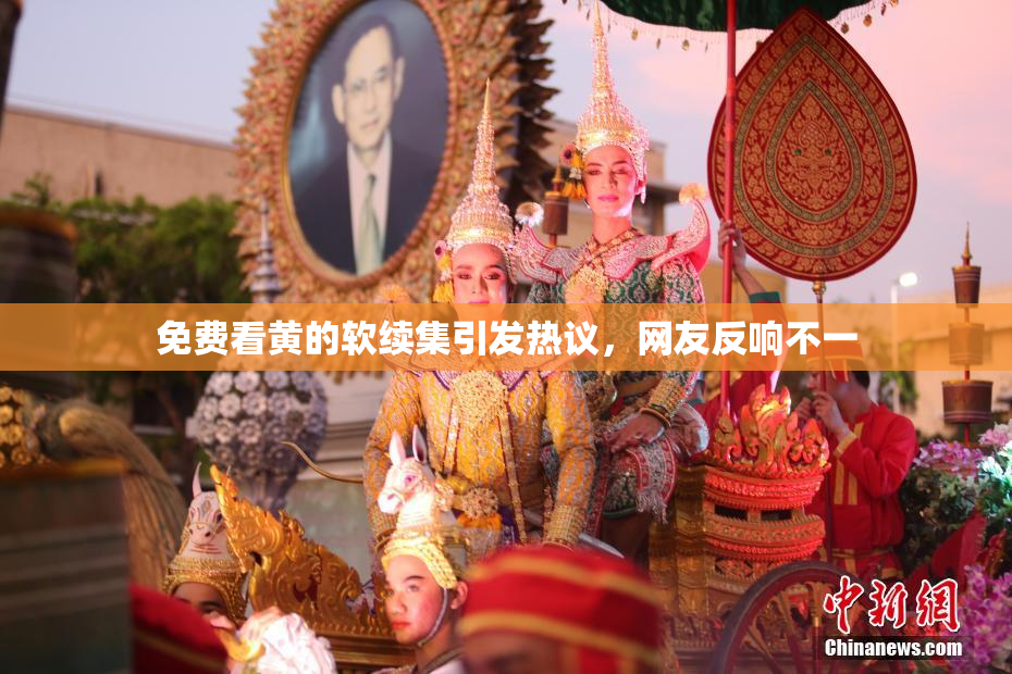 免费看黄的软续集引发热议，网友反响不一
