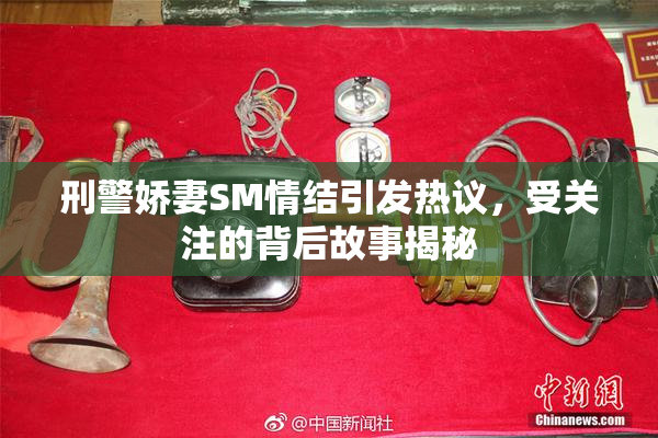刑警娇妻SM情结引发热议，受关注的背后故事揭秘