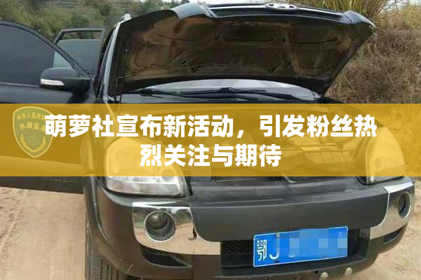萌萝社宣布新活动，引发粉丝热烈关注与期待