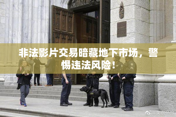 非法影片交易暗藏地下市场，警惕违法风险！
