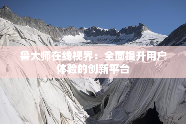 鲁大师在线视界：全面提升用户体验的创新平台