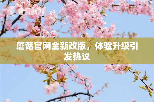 蘑菇官网全新改版，体验升级引发热议