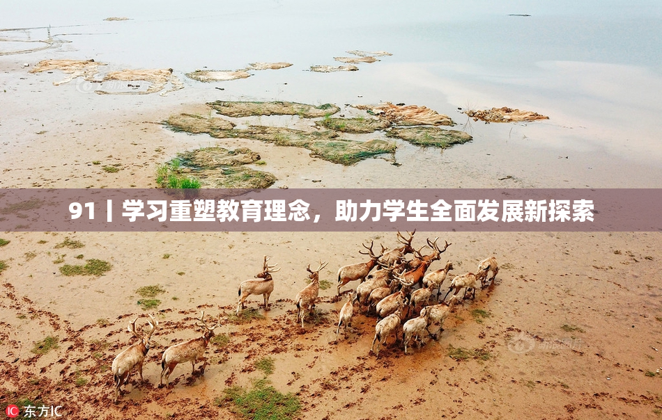 91丨学习重塑教育理念，助力学生全面发展新探索