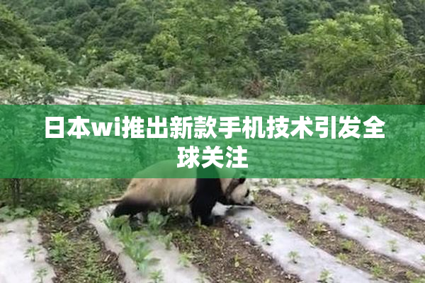 日本wi推出新款手机技术引发全球关注