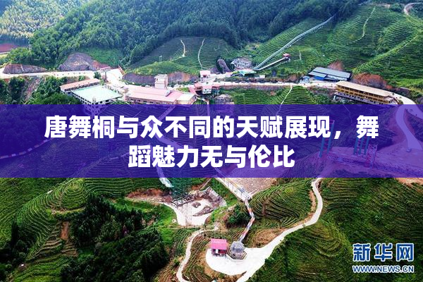 唐舞桐与众不同的天赋展现，舞蹈魅力无与伦比