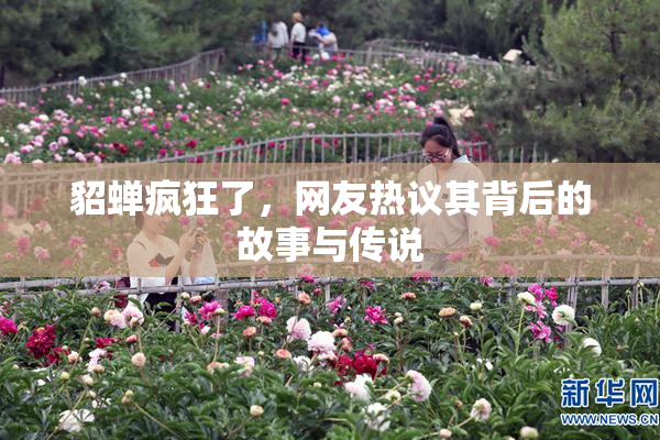 貂蝉疯狂了，网友热议其背后的故事与传说