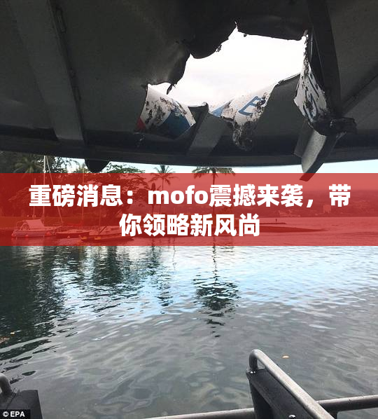 重磅消息：mofo震撼来袭，带你领略新风尚