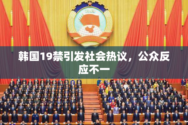 韩国19禁引发社会热议，公众反应不一
