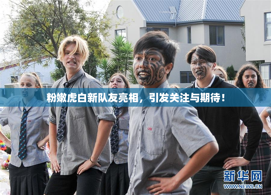 粉嫩虎白新队友亮相，引发关注与期待！