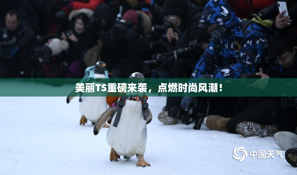 美丽TS重磅来袭，点燃时尚风潮！