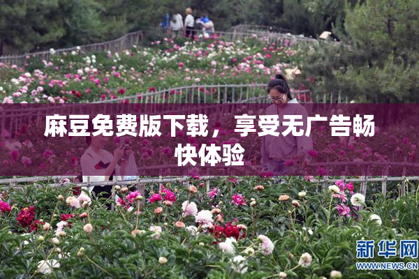 麻豆免费版下载，享受无广告畅快体验