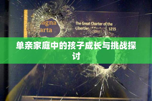 单亲家庭中的孩子成长与挑战探讨