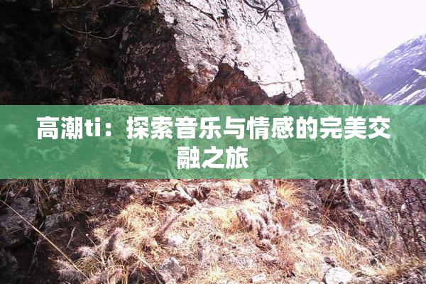高潮ti：探索音乐与情感的完美交融之旅