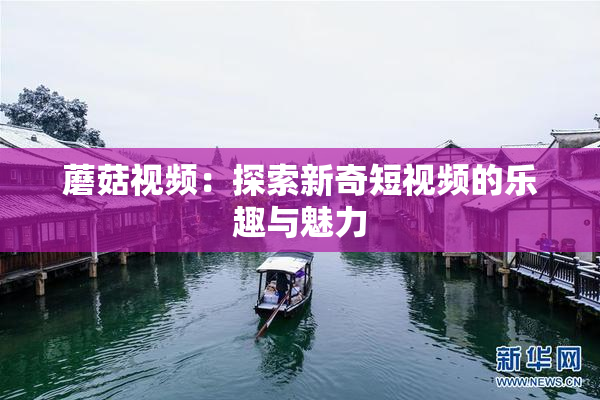 蘑菇视频：探索新奇短视频的乐趣与魅力