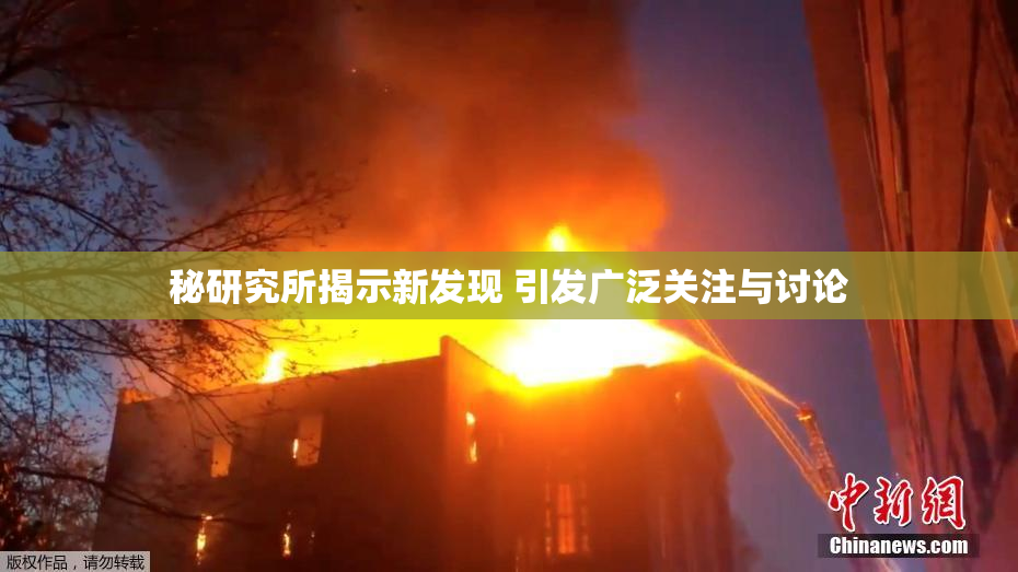 秘研究所揭示新发现 引发广泛关注与讨论