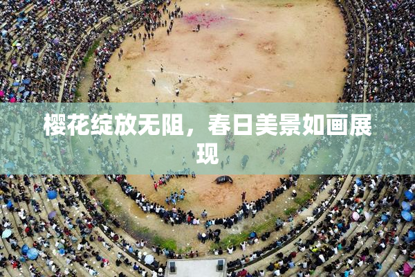 樱花绽放无阻，春日美景如画展现