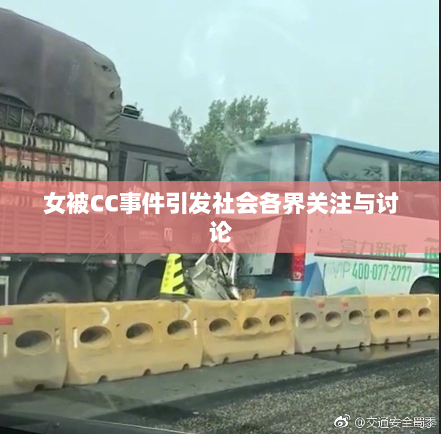 女被CC事件引发社会各界关注与讨论