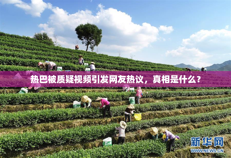 热巴被质疑视频引发网友热议，真相是什么？