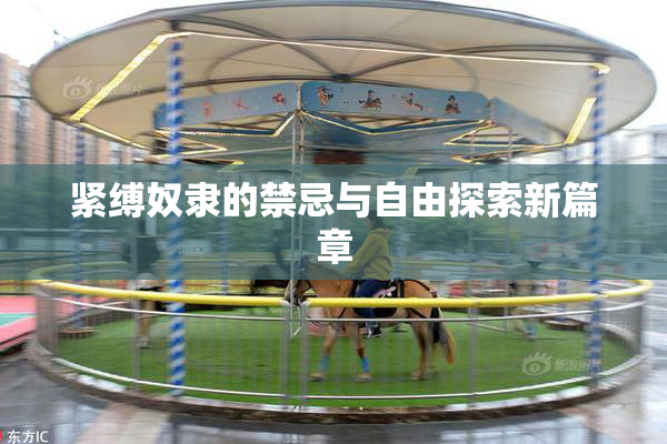 紧缚奴隶的禁忌与自由探索新篇章