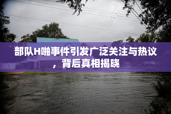部队H啪事件引发广泛关注与热议，背后真相揭晓