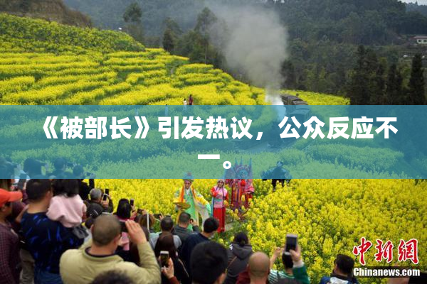 《被部长》引发热议，公众反应不一。