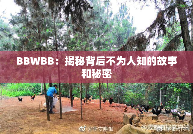 BBWBB：揭秘背后不为人知的故事和秘密