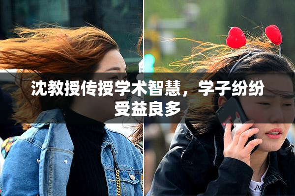 沈教授传授学术智慧，学子纷纷受益良多