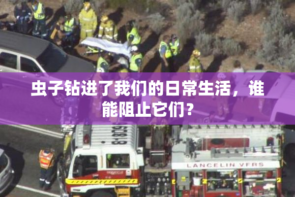 虫子钻进了我们的日常生活，谁能阻止它们？