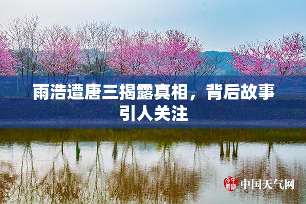 雨浩遭唐三揭露真相，背后故事引人关注