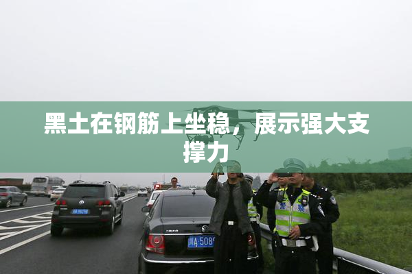黑土在钢筋上坐稳，展示强大支撑力