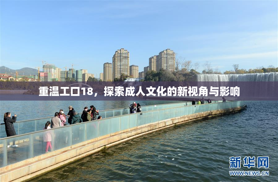 重温工口18，探索成人文化的新视角与影响