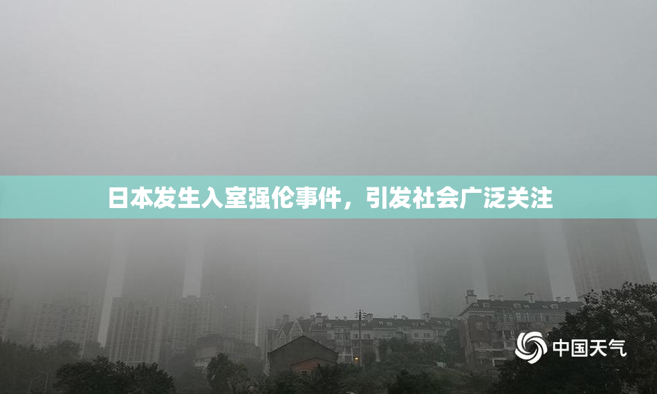 日本发生入室强伦事件，引发社会广泛关注