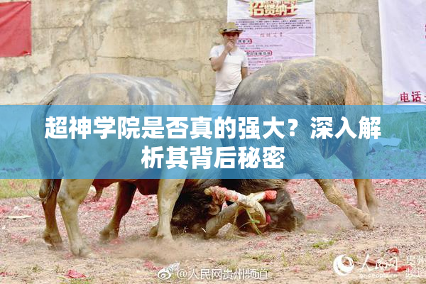 超神学院是否真的强大？深入解析其背后秘密