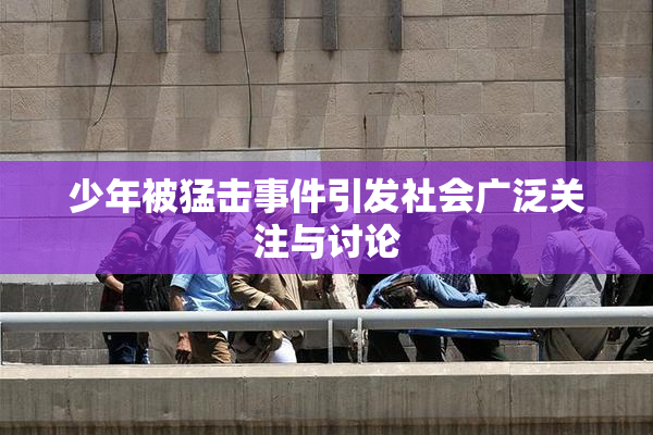 少年被猛击事件引发社会广泛关注与讨论