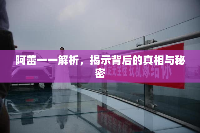 阿蕾一一解析，揭示背后的真相与秘密