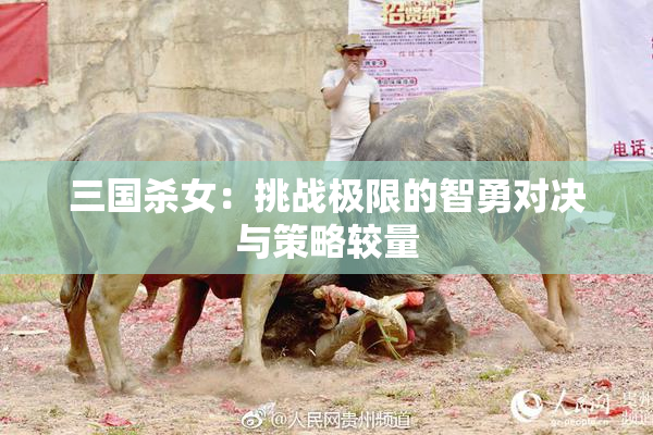 三国杀女：挑战极限的智勇对决与策略较量