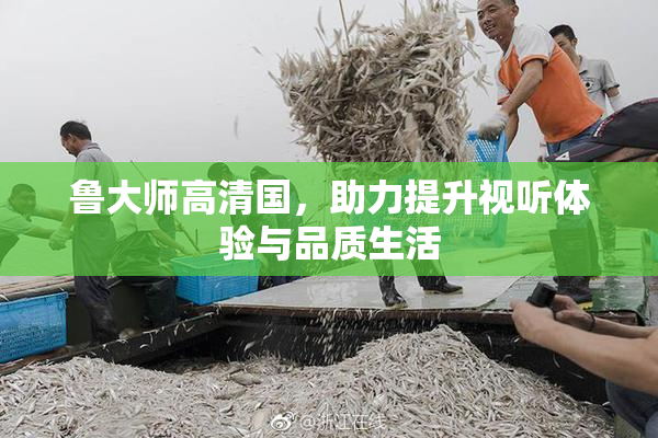 鲁大师高清国，助力提升视听体验与品质生活