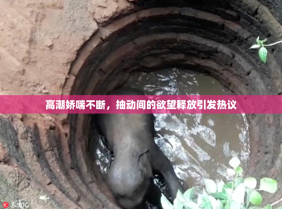 高潮娇喘不断，抽动间的欲望释放引发热议