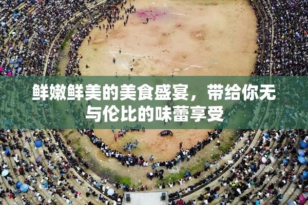 鲜嫩鲜美的美食盛宴，带给你无与伦比的味蕾享受