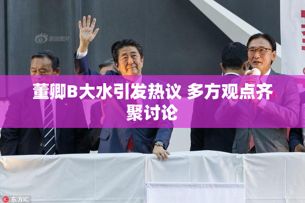董卿B大水引发热议 多方观点齐聚讨论