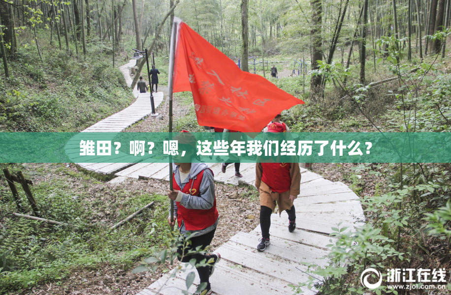 雏田？啊？嗯，这些年我们经历了什么？