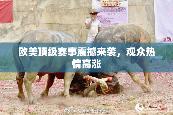欧美顶级赛事震撼来袭，观众热情高涨