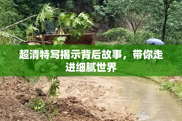 超清特写揭示背后故事，带你走进细腻世界