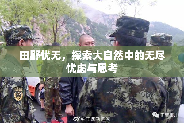 田野忧无，探索大自然中的无尽忧虑与思考
