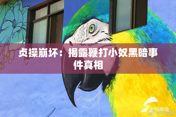贞操崩坏：揭露鞭打小奴黑暗事件真相